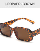 Leopard / No